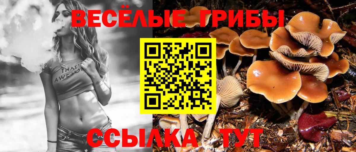 Псилоцибиновые грибы мухоморы  Вход с VPN  Богородск 